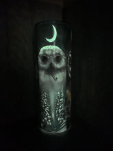 Load image into Gallery viewer, 20 oz Graphic Glow in the Dark Tumbler-  Owls with keys
