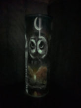 Load image into Gallery viewer, 20 oz Graphic Glow in the Dark Tumbler-  Owls with keys
